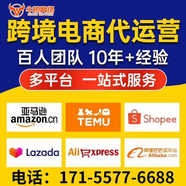 宜春电商代运营