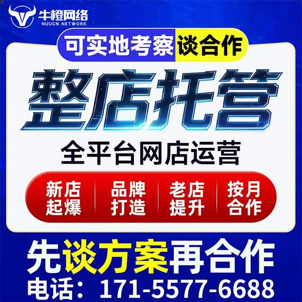 宜春电商代运营