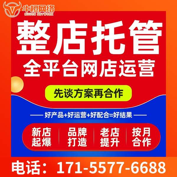 宜春电商代运营