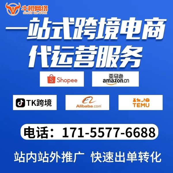 宜春电商代运营