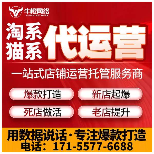 宜春电商代运营